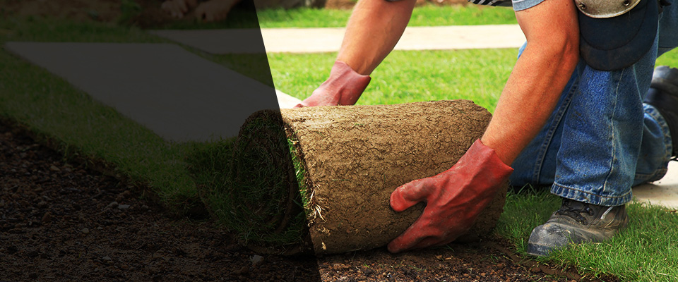 Wartburg Landscapers